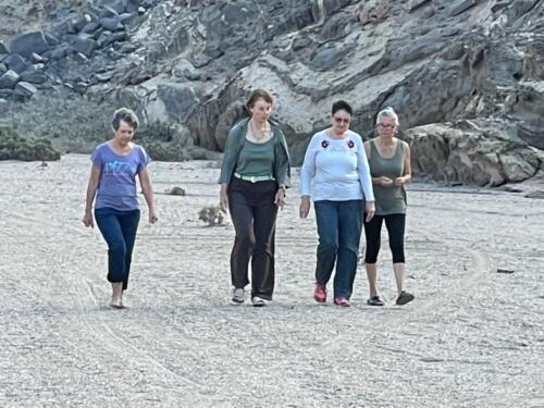 WhatsApp Image 2021-12-12 at 11.32.40